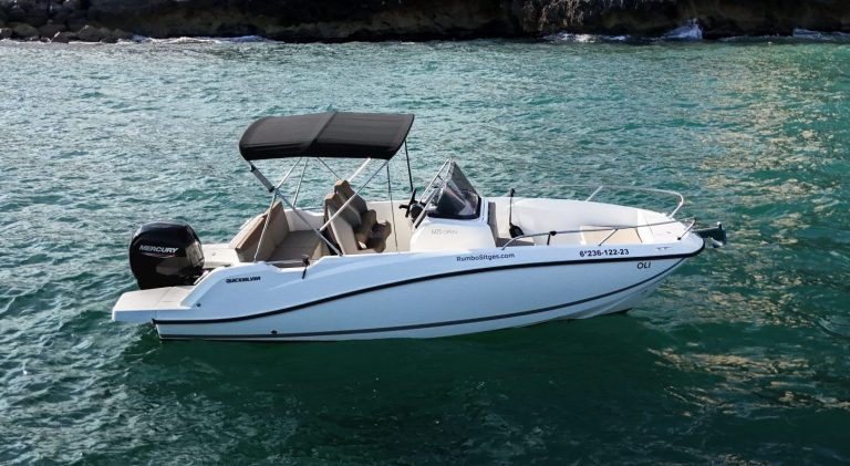 bateau quicksilver 605